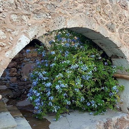 Tania Village Zakros Maisonette Luaran gambar